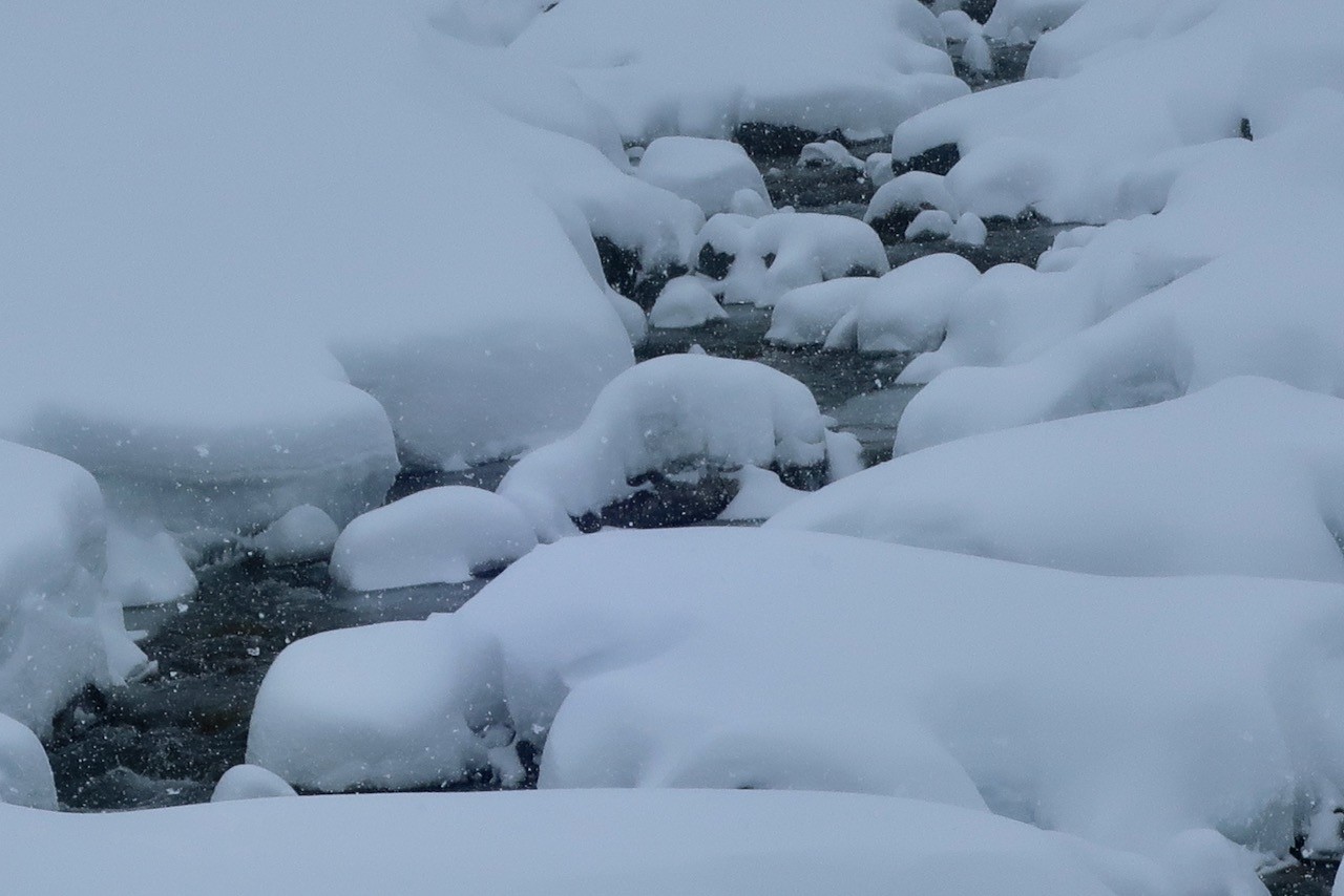 J4 Sculpture de neige