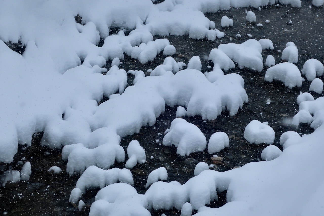 J4 Sculptures de neige