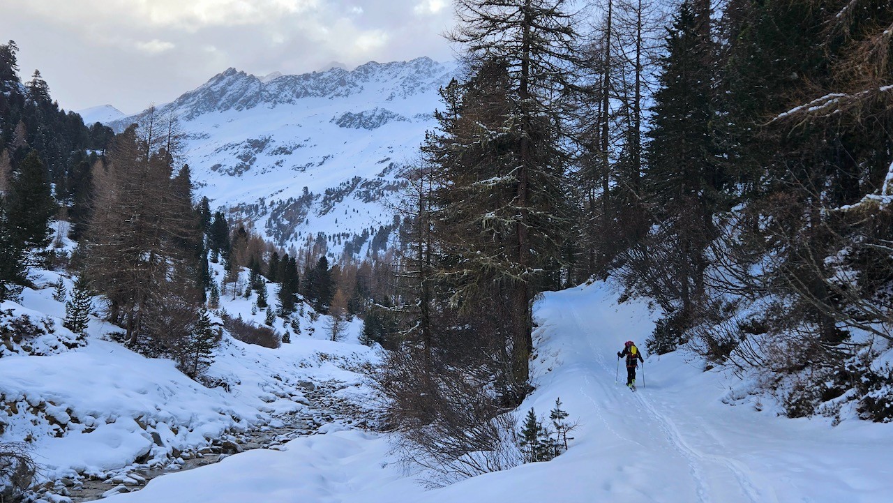 J5 Arrivée dans la forêt. Il n'y a plus de trace