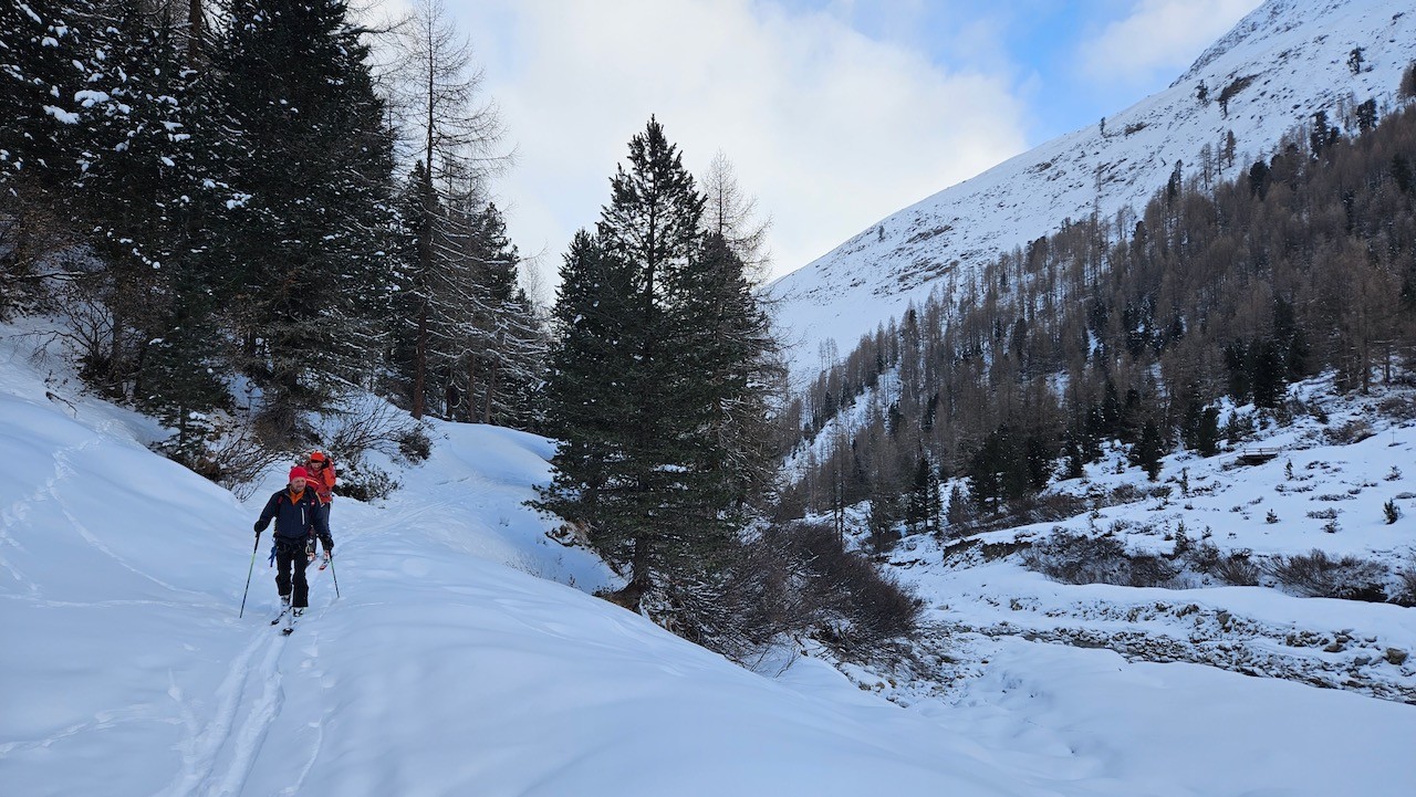 J5 Marche en silence dans la forêt au petit matin
