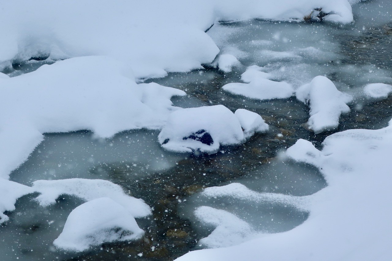 J4 Sculptures de neige