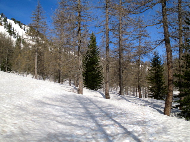Vallon de Salèze 