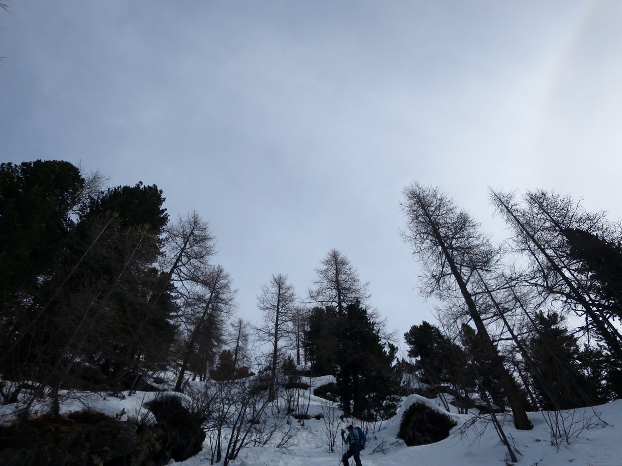 Descente délicate dans la forêt vers La Thuile