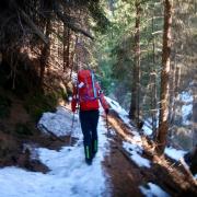 J4 Traversée bucolique dans la forêt