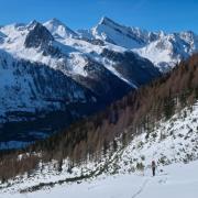 J4 Belle montée au dessus de la forêt