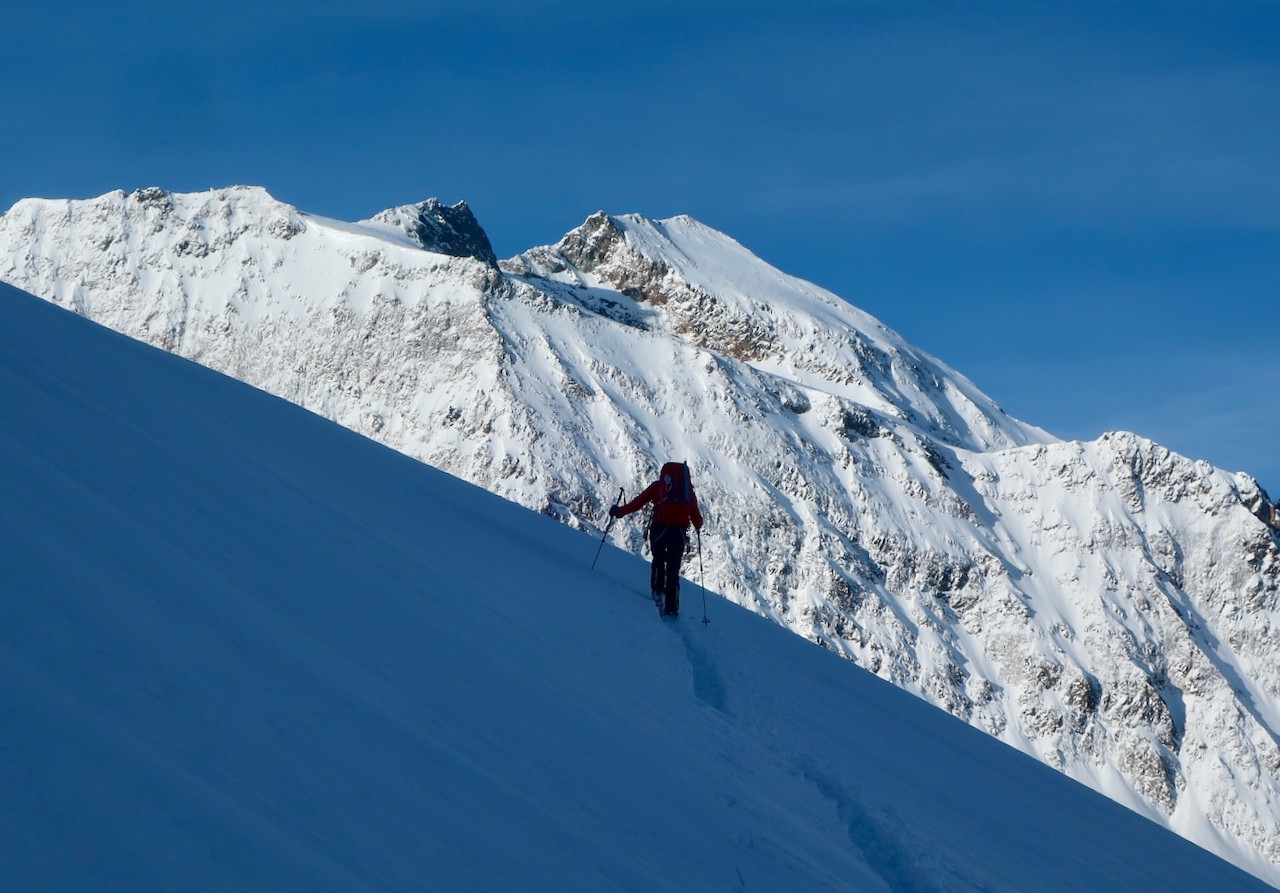 J6 Belle perspective sur le sommet du Hochfeiler (3509m) 