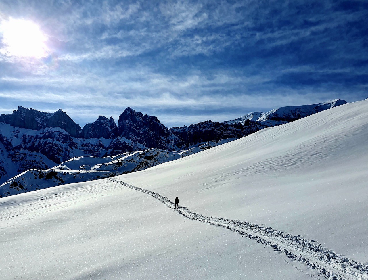 J7 Conditions magnifiques en cette fin de traversée